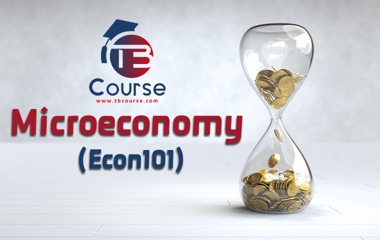 Microeconomics for SEU (ECON 101)